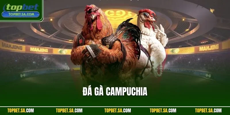 Đá Gà Campuchia