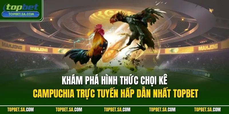 Khám phá hình thức chọi kê Campuchia trực tuyến hấp dẫn nhất TOPBET