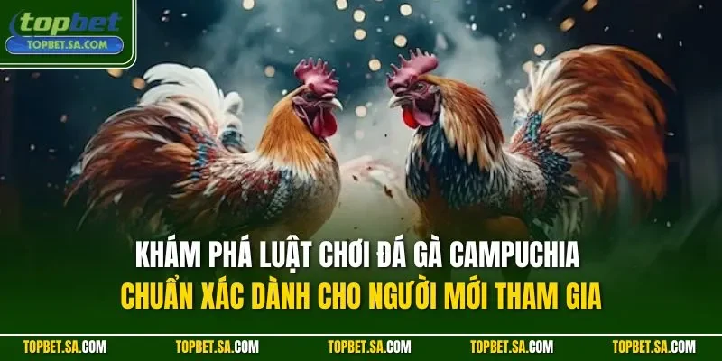 Khám phá luật chơi đá gà Campuchia chuẩn xác dành cho người mới tham gia