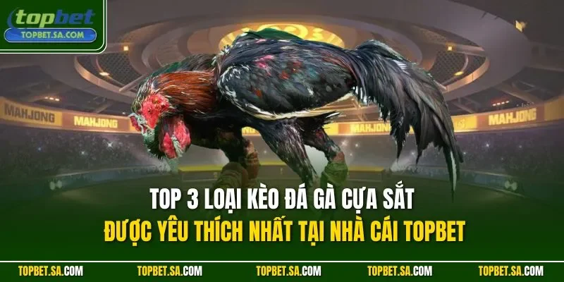Top 3 loại kèo đá gà cựa sắt được yêu thích nhất tại nhà cái TOPBET